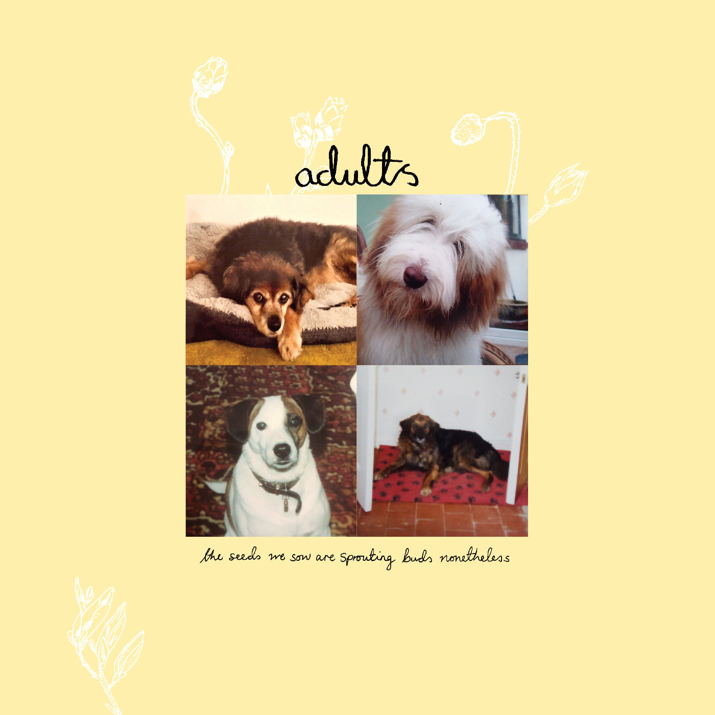 Adults Green Vinyl) The Seeds We Sow Are Sprouting Buds Nonetheless (Indie Exclusive