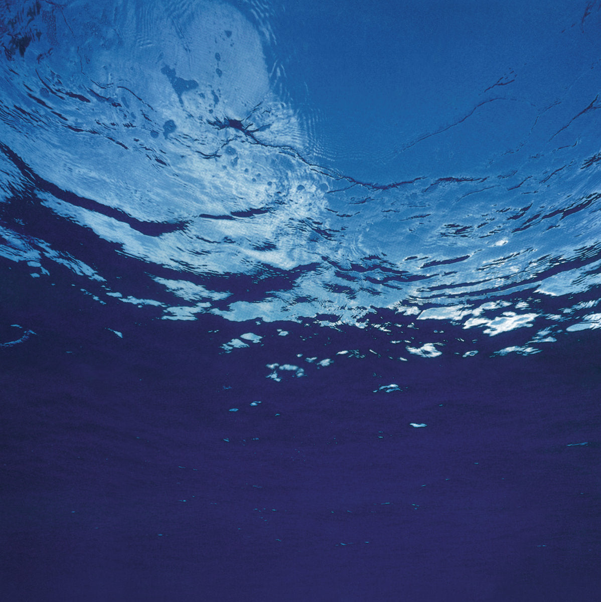 Akira Ito Marine Flowers