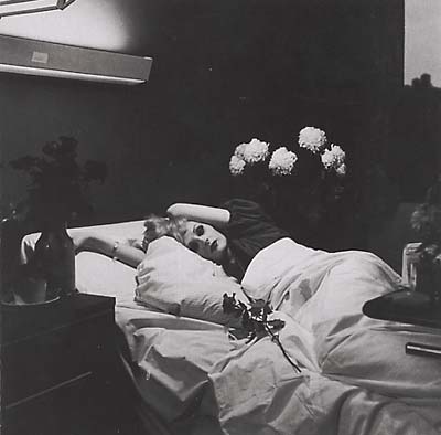 Antony & The Johnsons I Am A Bird Now