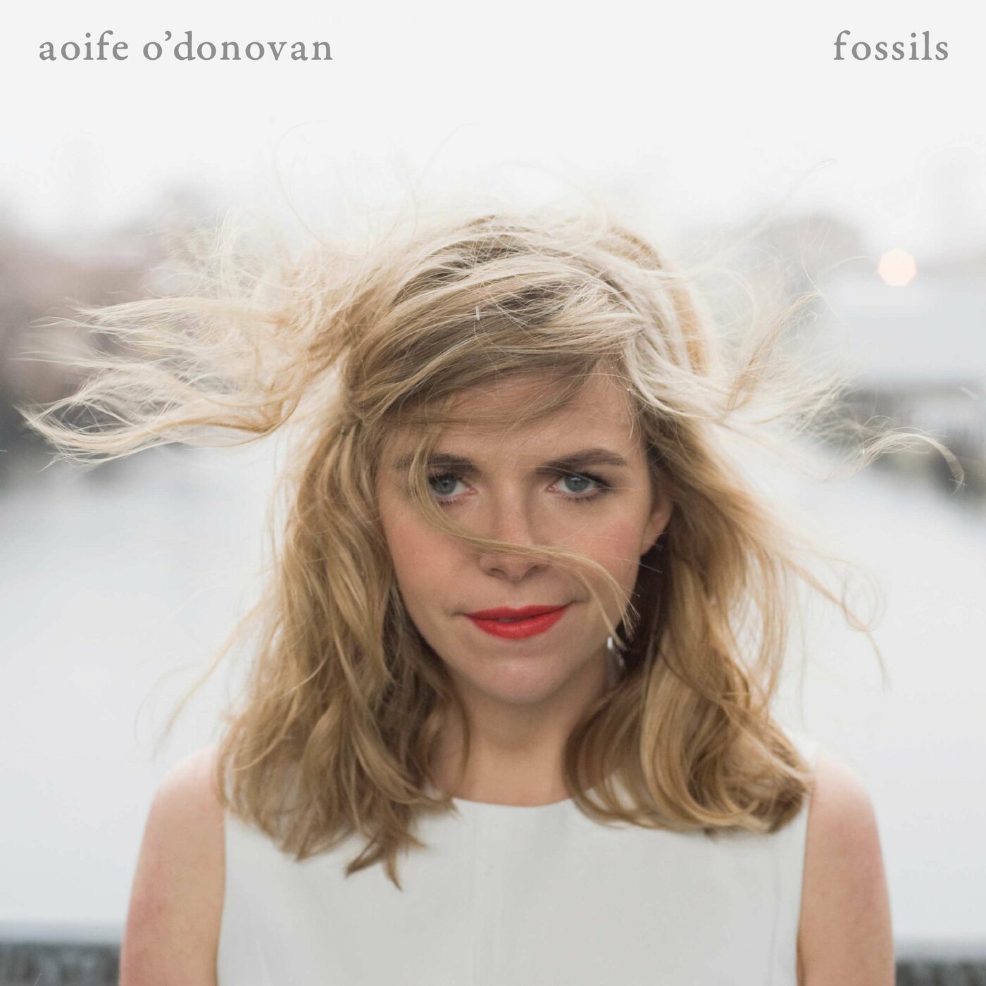 Aoife O'Donovan Fossils