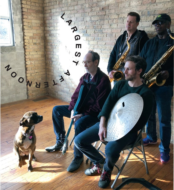 Arto Lindsay/Joe Mcphee/Ken Vandermark/Phil Sudder Largest Afternoon
