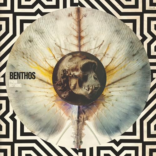 Benthos From Nothing
