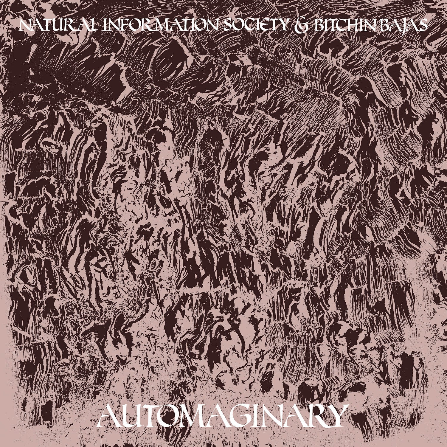 Bitchin Bajas & Natural Information Society Automaginary