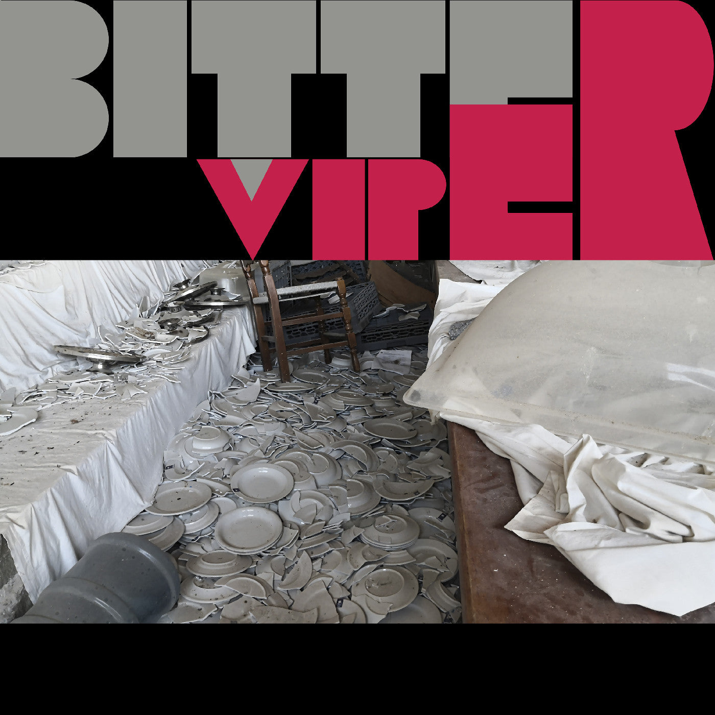 Bitterviper Bitterviper