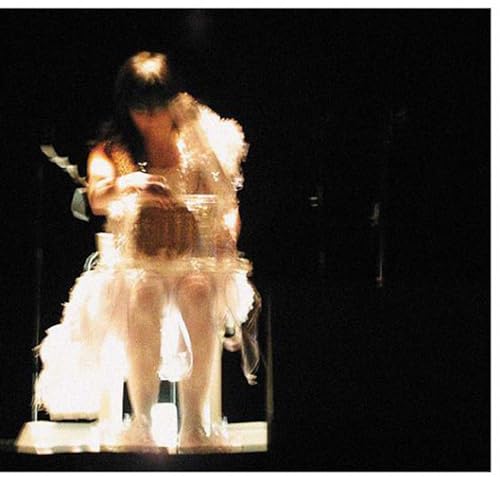 Bjork Vespertine Live
