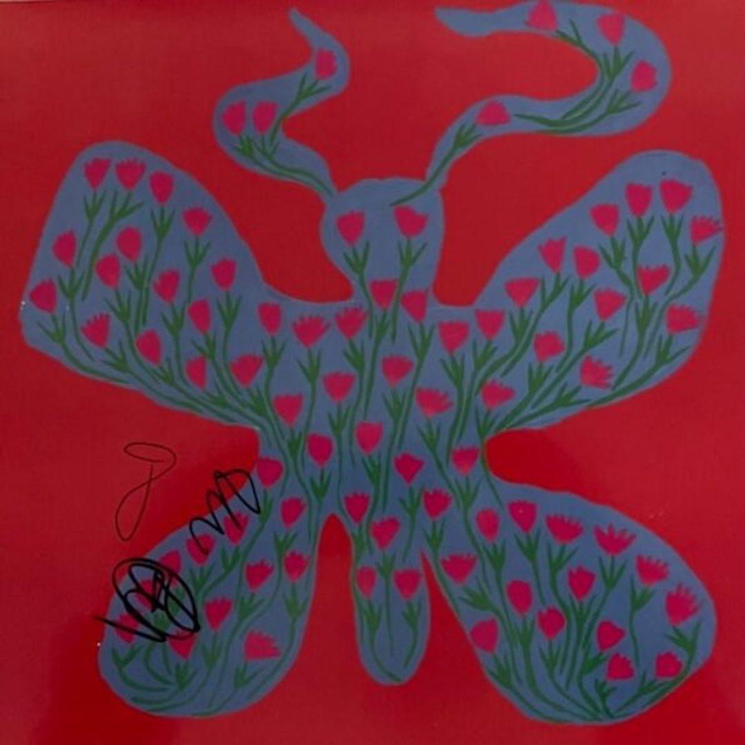 Skies Dehd Signed Album, Blue Skies Dehd- Signed Album