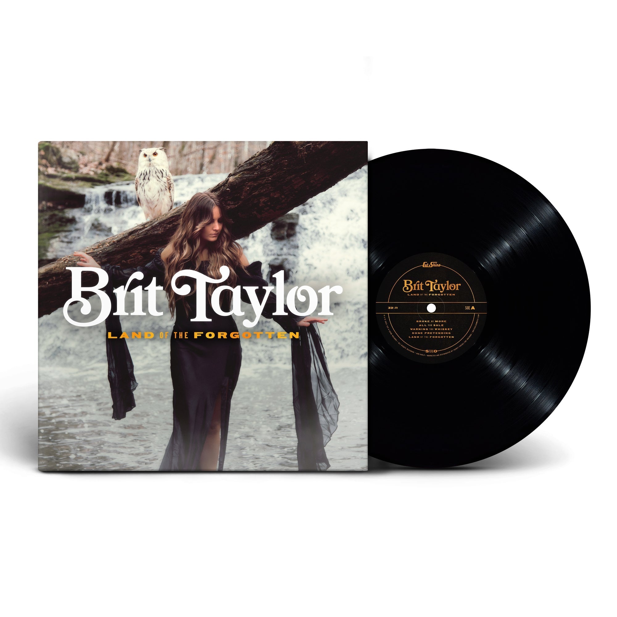 Brit Taylor Land Of The Forgotten