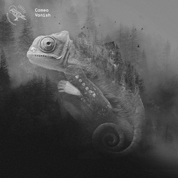 CAMEA Vanish