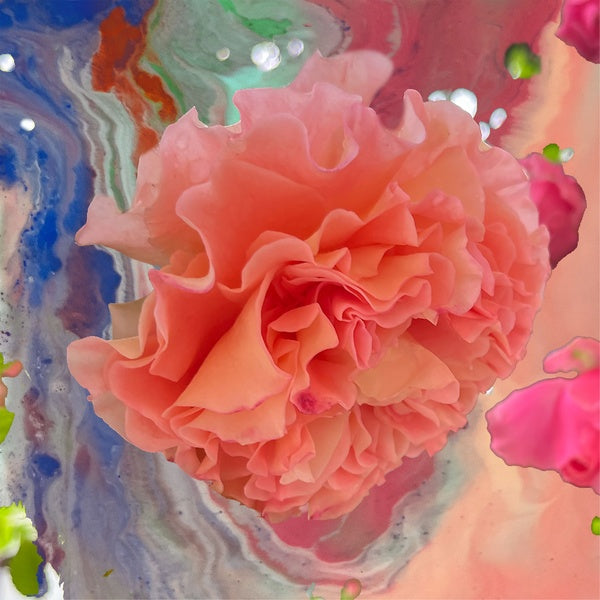 CONIC ROSE Heller Tag