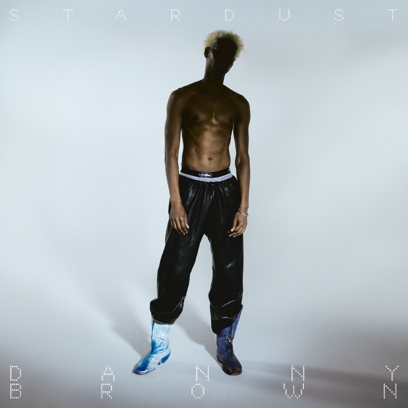 Danny Brown Stardust