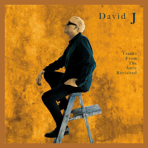 David J Tracks From The Attic Revisited