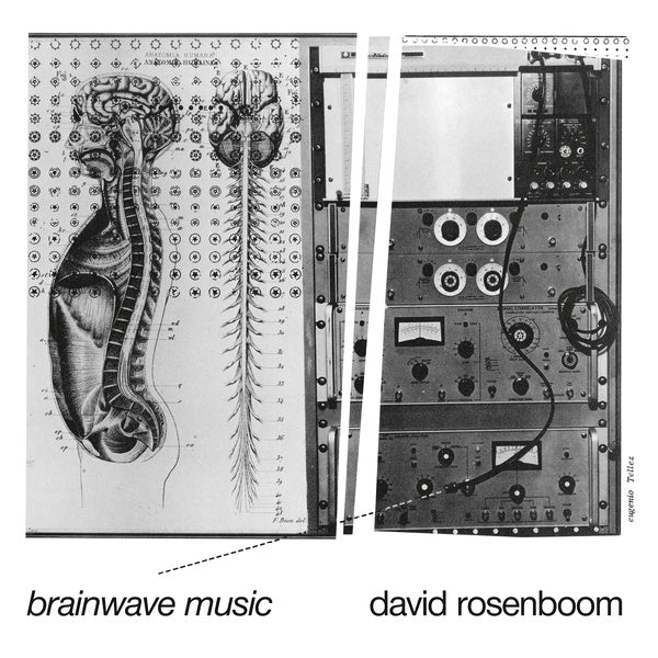 David Rosenboom Brainwave Music