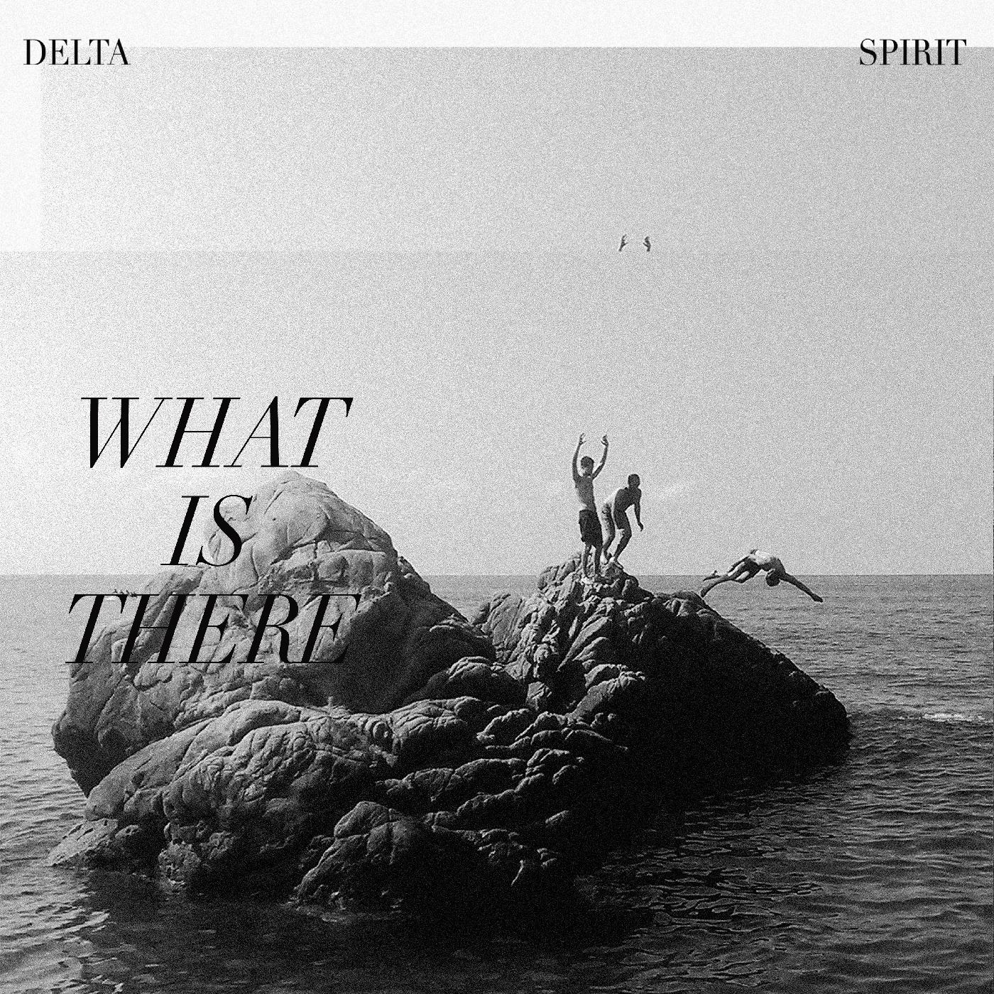 Delta Spirit What Is There (Indie Exclusive Clear With Black Marbling Vinyl)