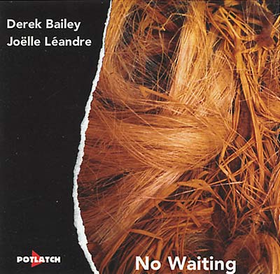 DEREK BAILEY/JOELLE LEANDRE No Waiting