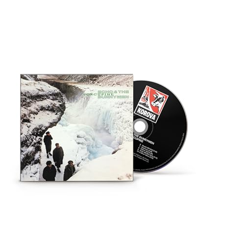 Echo And The Bunnymen Porcupine