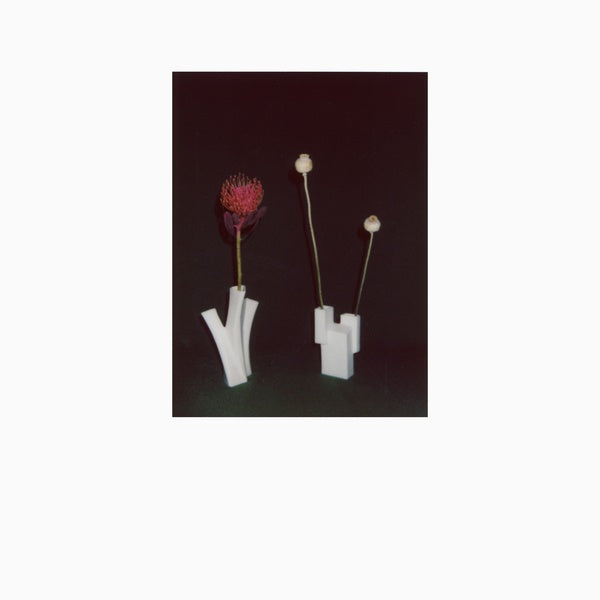 FELICIA ATKINSON The Flower And The Vessel