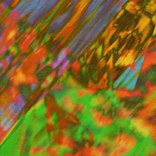 Fort Romeau & Gold Panda Stay Here/Writer