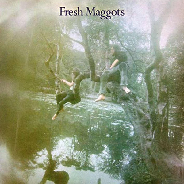 FRESH MAGGOTS Hatched