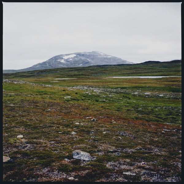 GIDGE Tundra