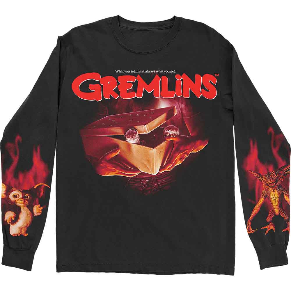 Gremlins What It Seems Black