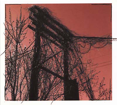 HARRIS NEWMAN Accidents with Nature and Each Other
