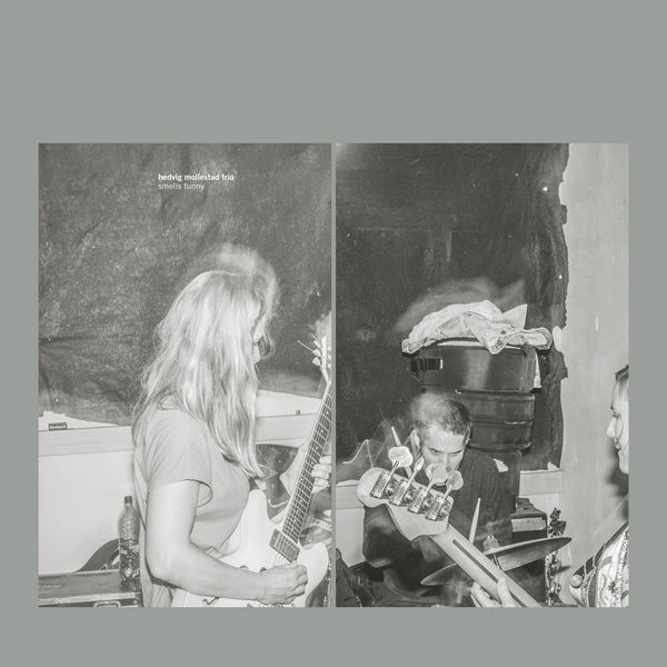 HEDVIG MOLLESTAD TRIO Smells Funny