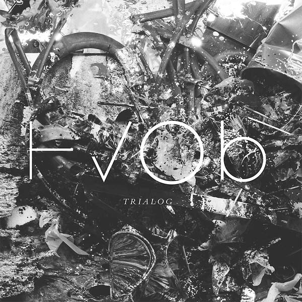 HVOB Trialog