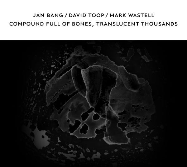 JAN BANG/DAVID TOOP/MARK WASTELL Compound Full of Bones, Translucent Thousands