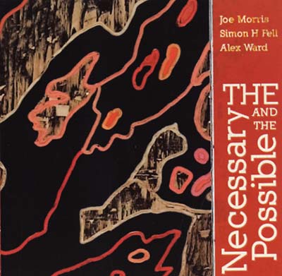JOE MORRIS/SIMON H FELL/ALEX WARD The Necessary And The Possible