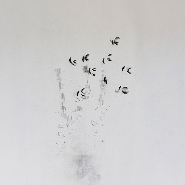 KEN IKEDA + DAVID TOOP Skin Tones