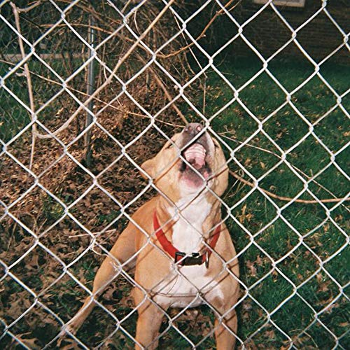 Knocked Loose Pop Culture
