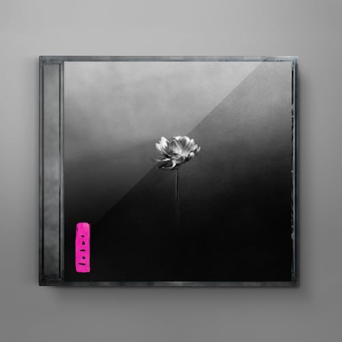 Little Simz Lotus
