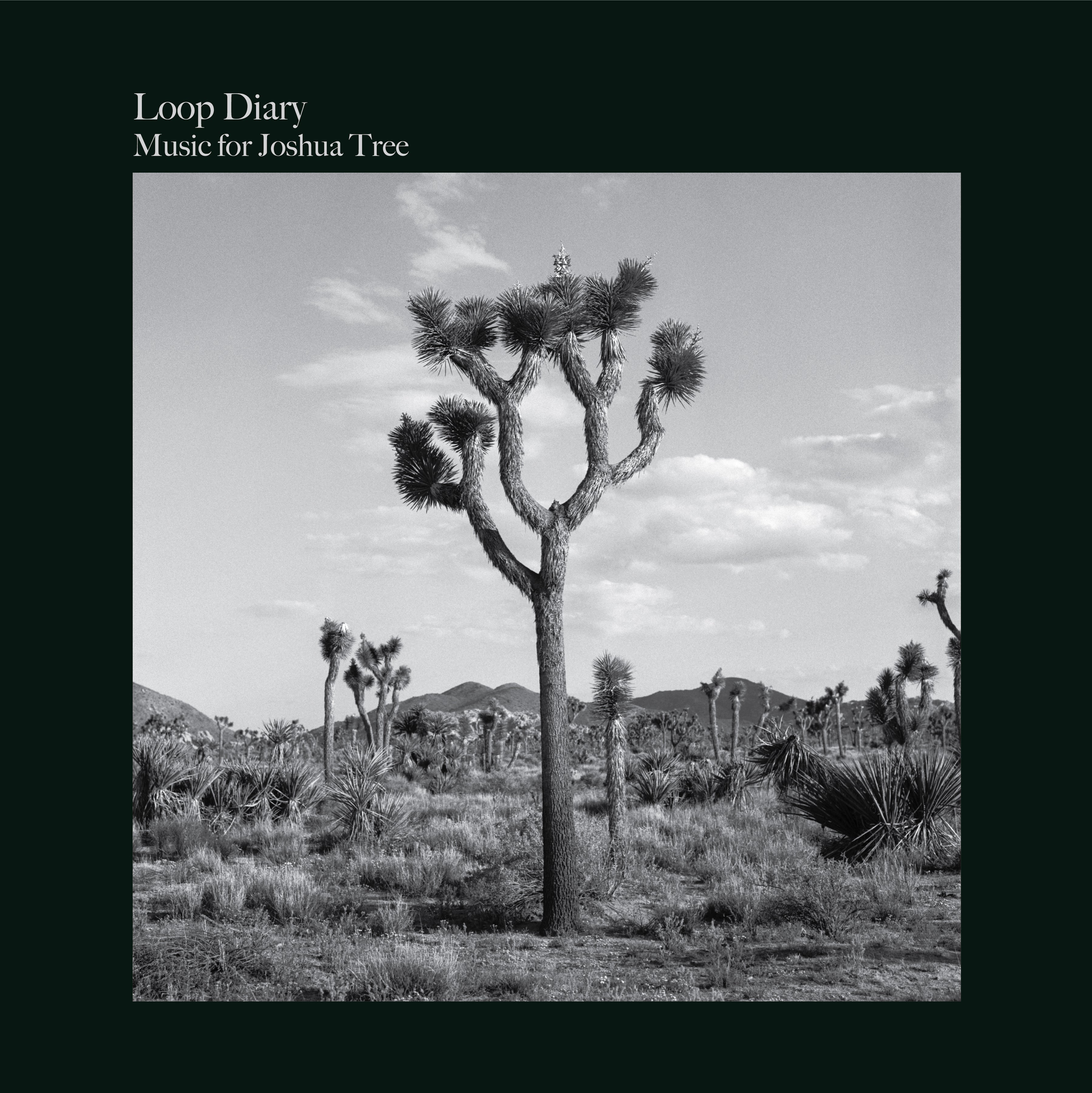 Loop Diary Music For Joshua Tree