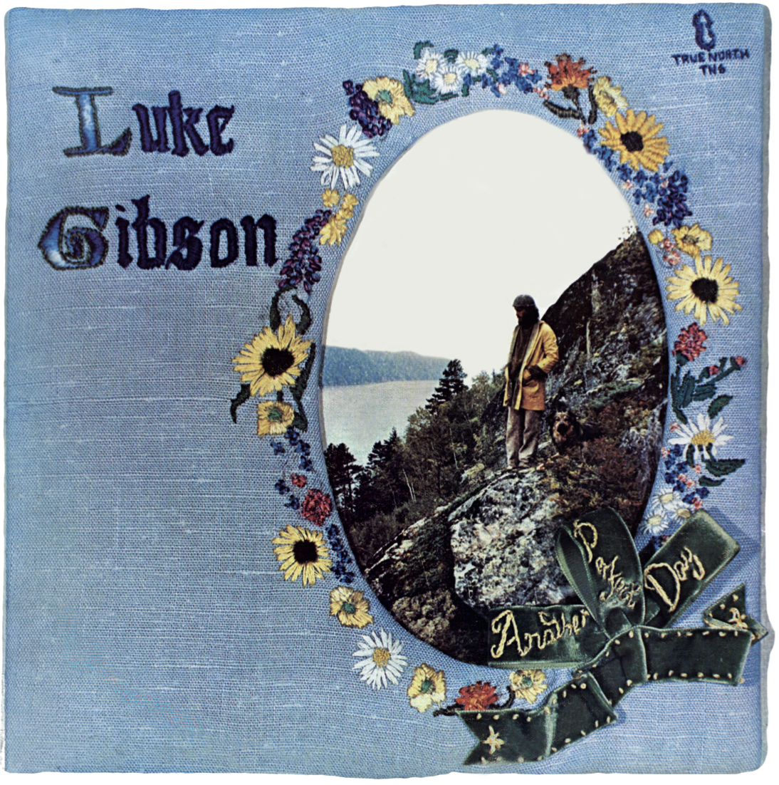 Luke Gibson Another Perfect Day