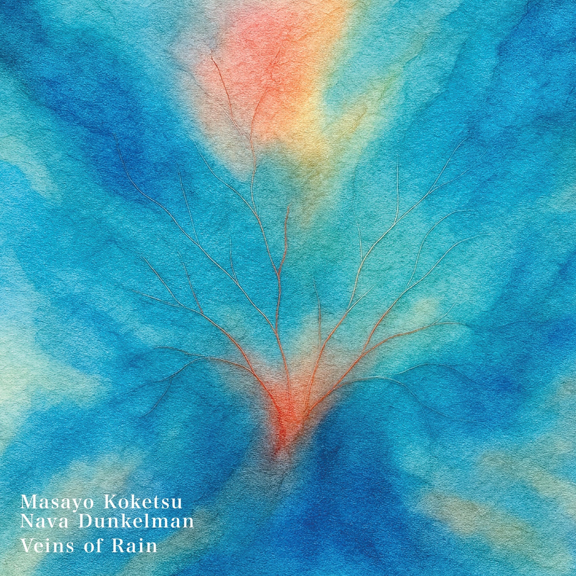 Masayo Koketsu Veins Of Rain