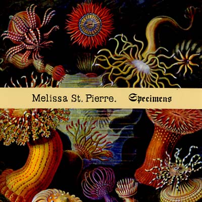 MELISSA ST. PIERRE Specimens