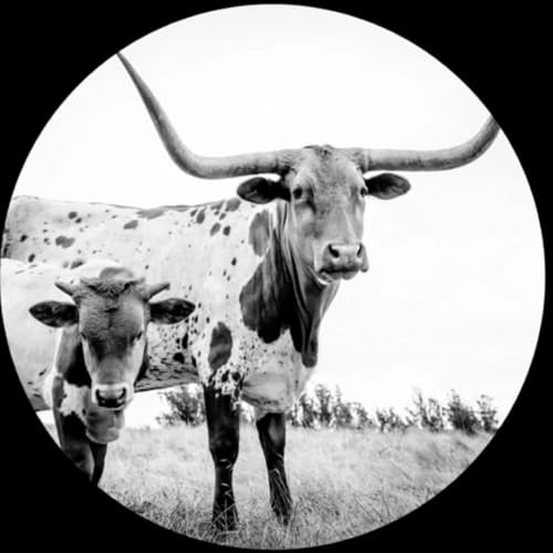 Mike Flanigin West Texas Blues