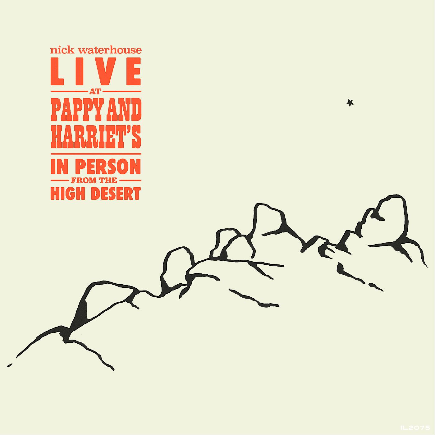 Nick Waterhouse Live At Pappy & Harriet's: In Person From The High Desert