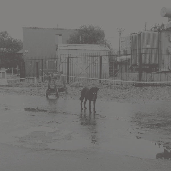 NIVHEK After Its Own Death / Walking In A Spiral Towards The House