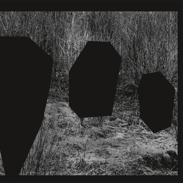 NOUN (DANIEL AVERY & ROMAN FLUGEL) Meeting Of The Minds
