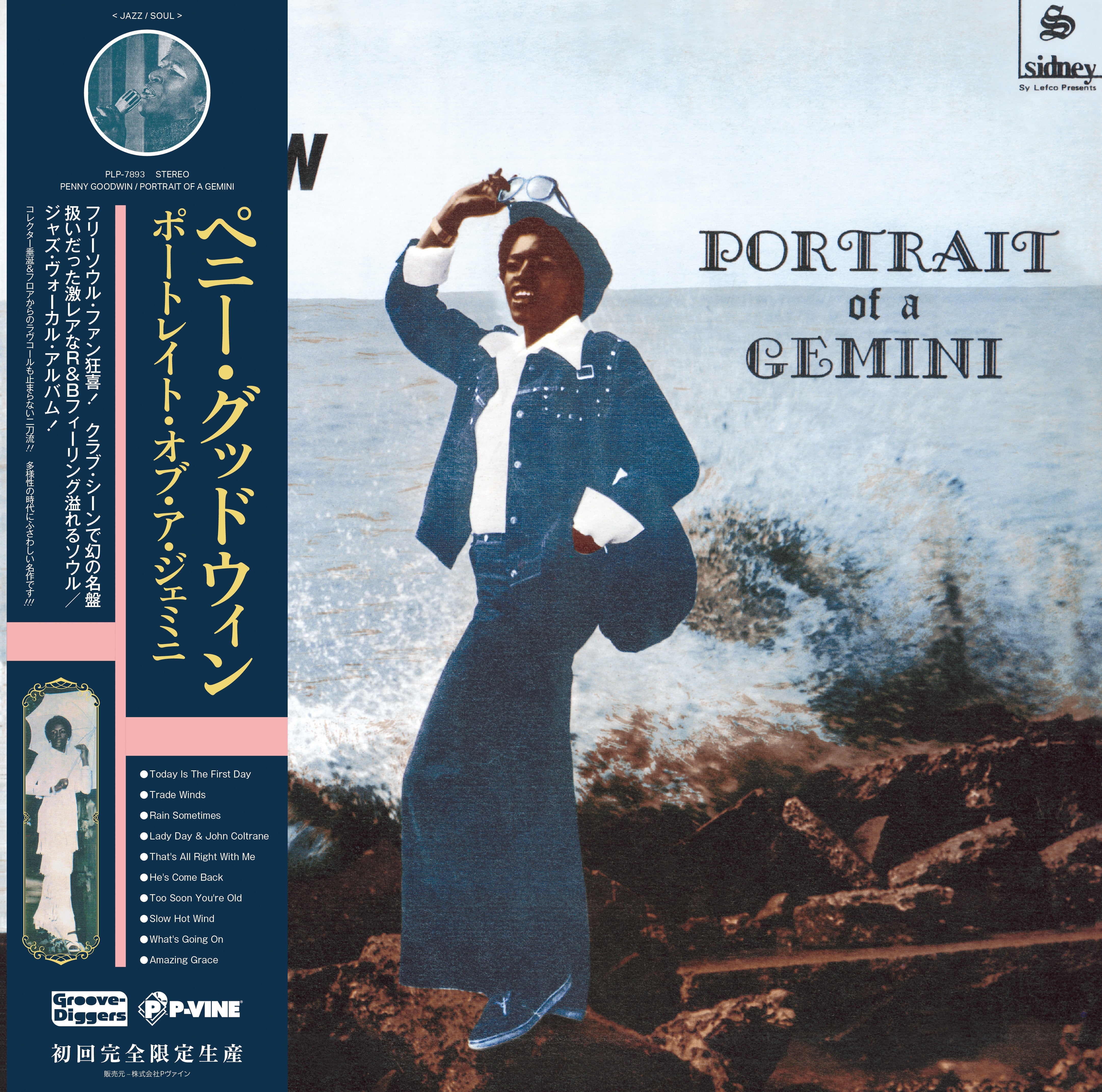 Penny Goodwin Portrait Of A Gemini