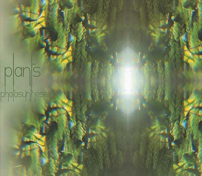 PLANTS Photosynthesis