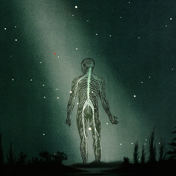 PROPHETAS Maury Island Reverie