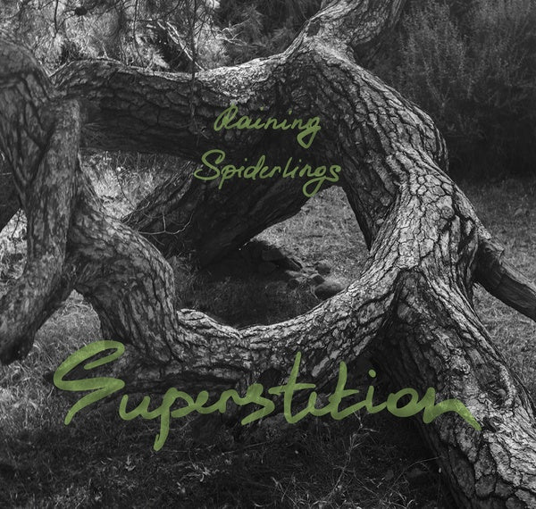 RAINING SPIDERLINGS Superstition