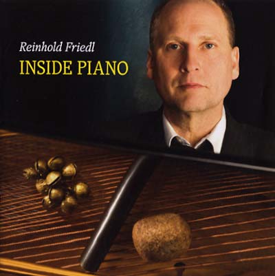 REINHOLD FRIEDL Inside Piano