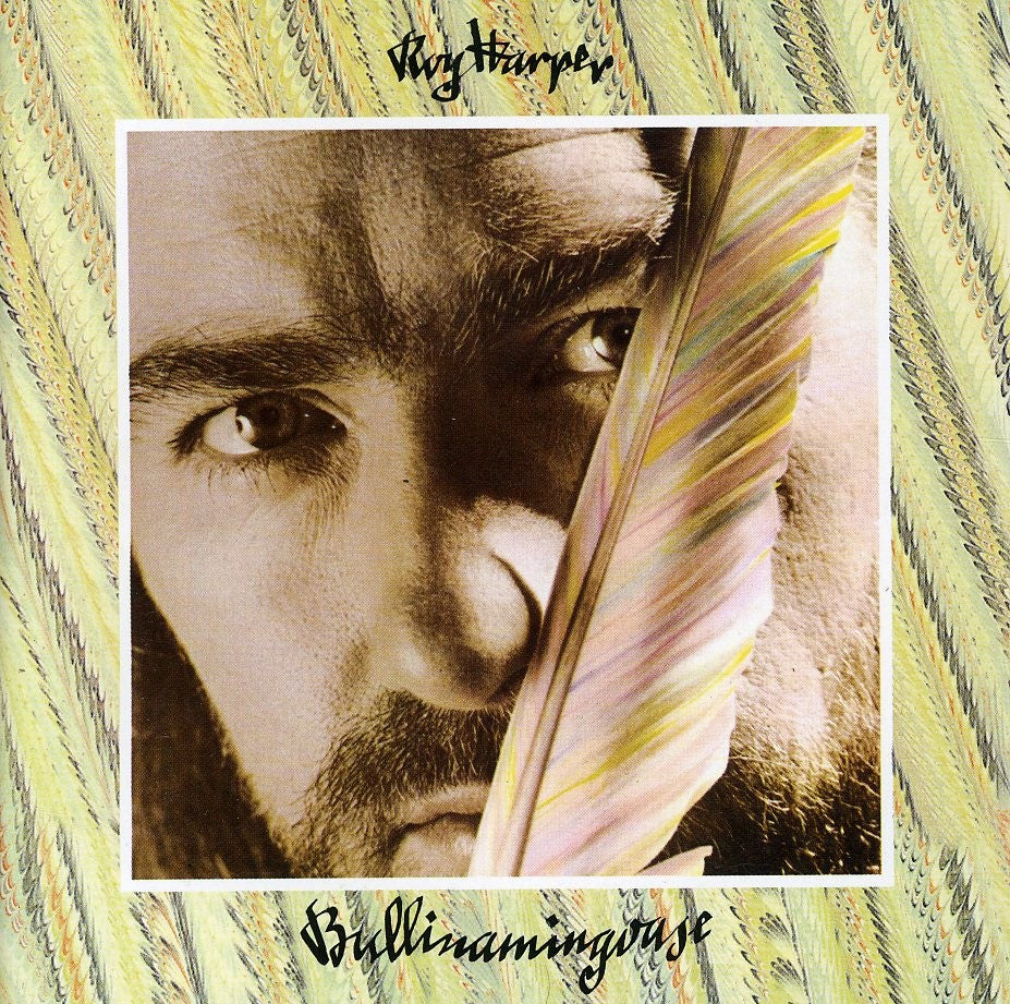 ROY HARPER Bullinamingvase