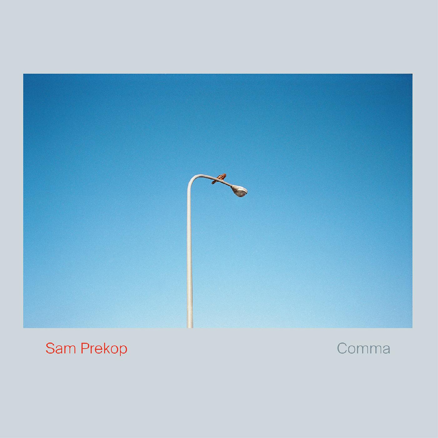 Sam Prekop Comma (Indie Exclusive White Vinyl)