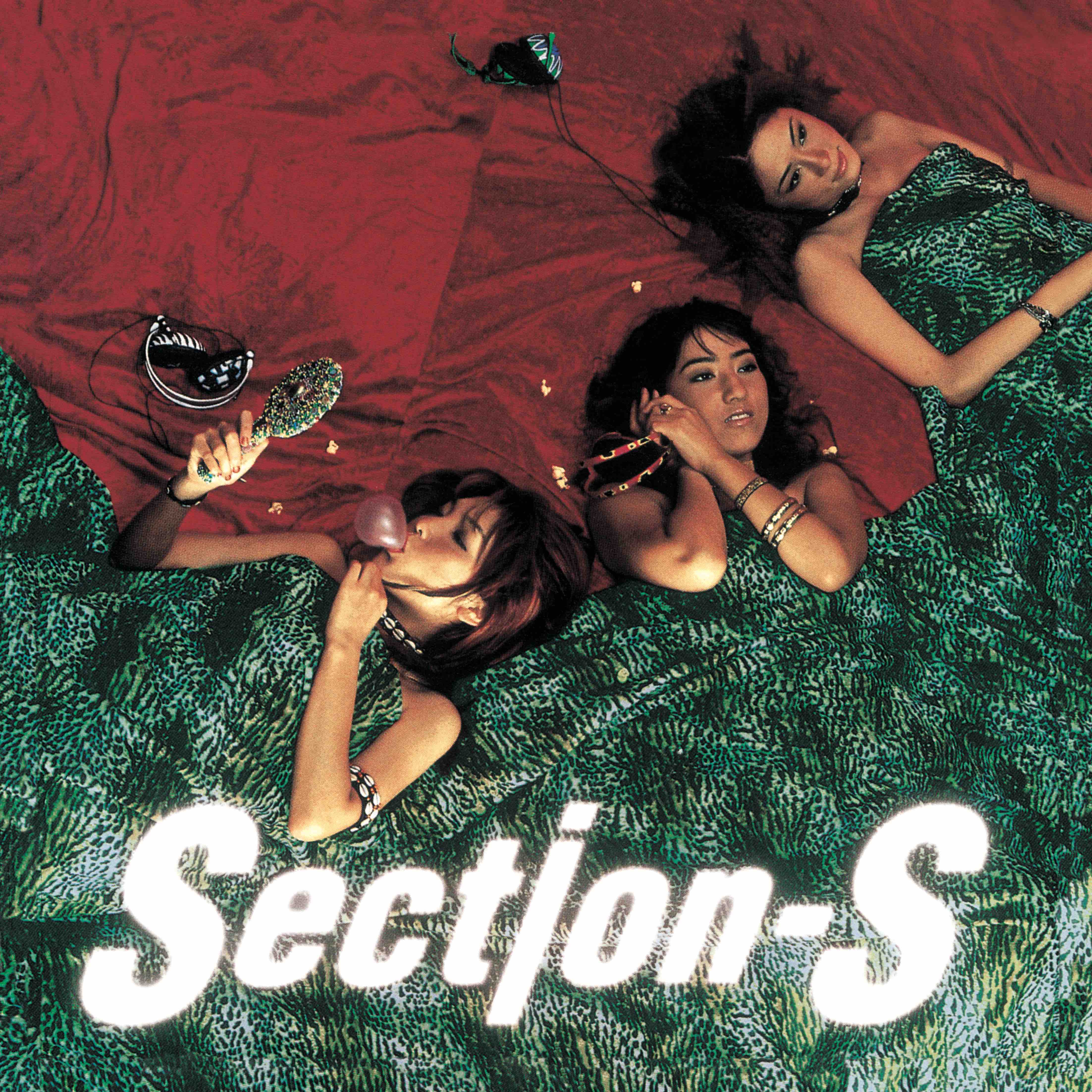 Section-S Www.