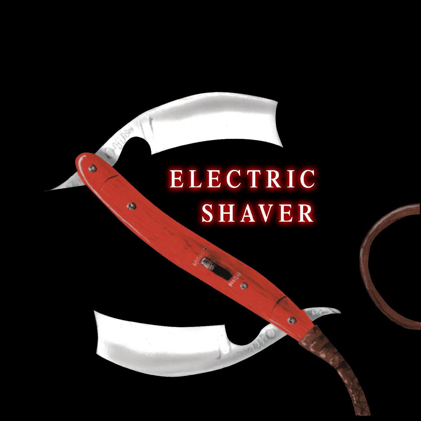 Shaver Electric Shaver