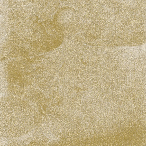 Siavash Amini Eidolon